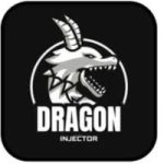 Dragon Injector