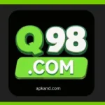 Q98 Game