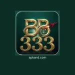 BB333 Game